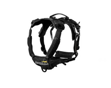 Last inn bildet i Galleri-visningsprogrammet, Conor's adventure: Infinity Sele - Standard 25mm - Smal front