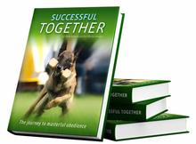 Last inn bildet i Galleri-visningsprogrammet, Successful together - 4 reviderte utgave.