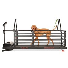 Last inn bildet i Galleri-visningsprogrammet, Dog Runner – Ortho Pro
