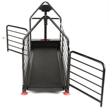 Last inn bildet i Galleri-visningsprogrammet, Dog Runner – Ortho Pro

