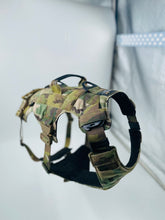 Last inn bildet i Galleri-visningsprogrammet, Infinity Sele - Standard 40 mm - Smal front
